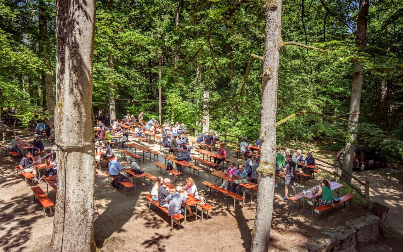 Brauereigasthof Zum Loewenbraeu Adelsdorf Екстериор снимка