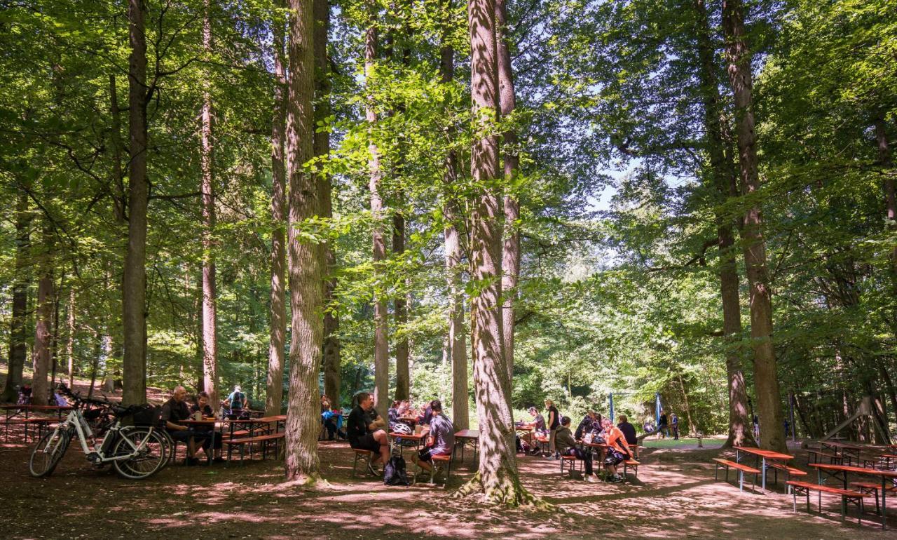 Brauereigasthof Zum Loewenbraeu Adelsdorf Екстериор снимка